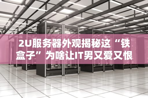 2U服务器外观揭秘这“铁盒子”为啥让IT男又爱又恨？