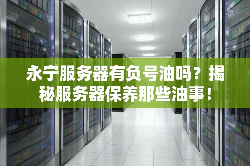永宁服务器有负号油吗？揭秘服务器保养那些油事！