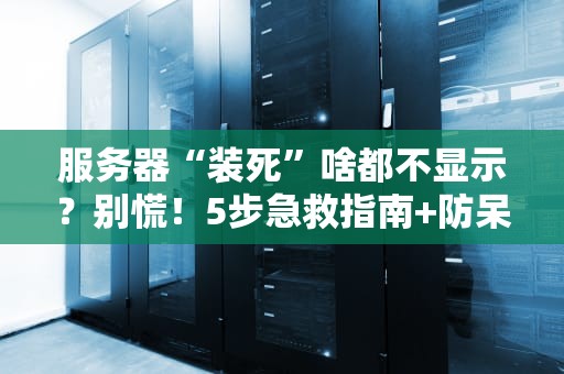 服务器“装死”啥都不显示？别慌！5步急救指南+防呆秘籍大公开！