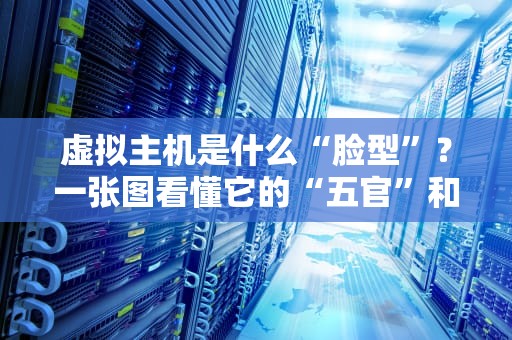 虚拟主机是什么“脸型”？一张图看懂它的“五官”和“脾气”！
