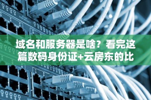 域名和服务器是啥？看完这篇数码身份证+云房东的比喻就懂了！