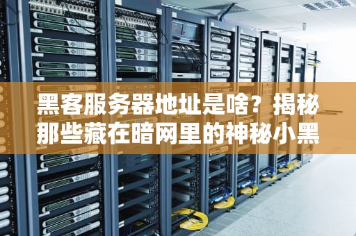 黑客服务器地址是啥？揭秘那些藏在暗网里的神秘小黑屋！
