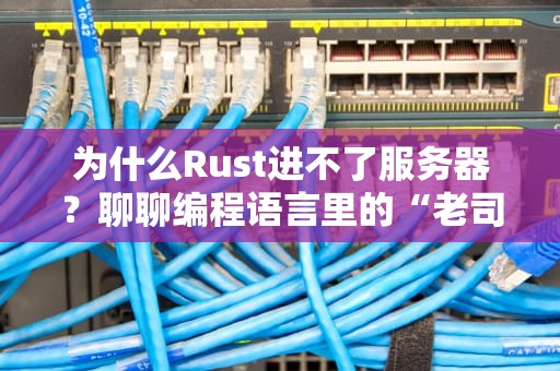 为什么Rust进不了服务器？聊聊编程语言里的“老司机”与“新手上路”