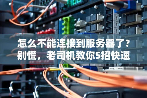 怎么不能连接到服务器了？别慌，老司机教你5招快速排查！