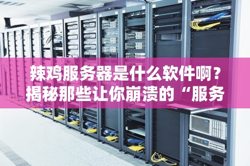 辣鸡服务器是什么软件啊？揭秘那些让你崩溃的“服务器刺客”