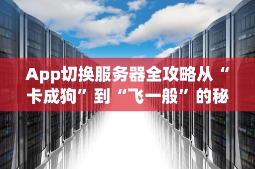 App切换服务器全攻略从“卡成狗”到“飞一般”的秘诀！