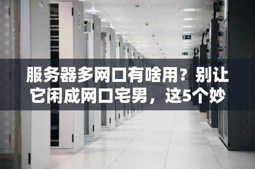 服务器多网口有啥用？别让它闲成网口宅男，这5个妙招让你物尽其用！
