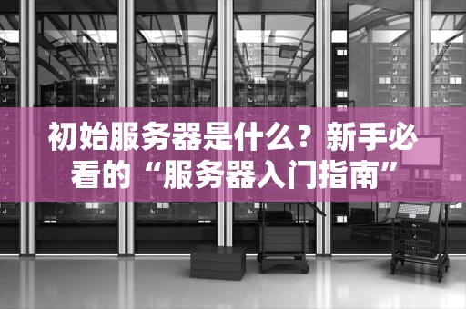 初始服务器是什么？新手必看的“服务器入门指南”