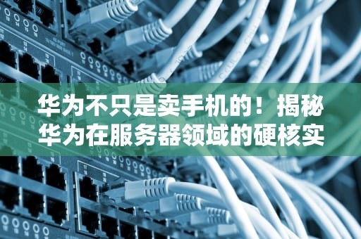 华为不只是卖手机的！揭秘华为在服务器领域的硬核实力