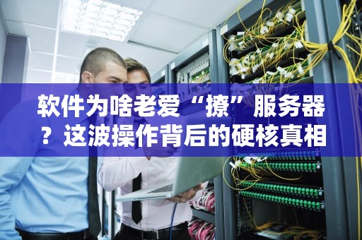 软件为啥老爱“撩”服务器？这波操作背后的硬核真相！