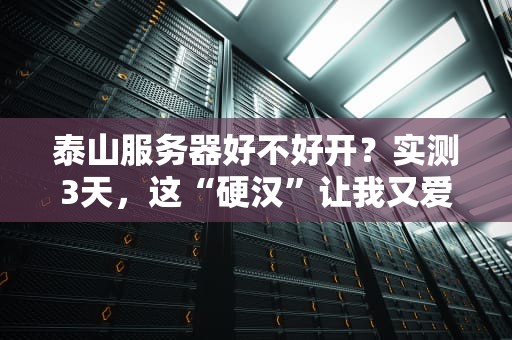 泰山服务器好不好开？实测3天，这“硬汉”让我又爱又恨！