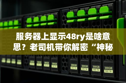 服务器上显示48ry是啥意思？老司机带你解密“神秘代码”的真相！