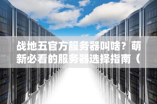 战地五官方服务器叫啥？萌新必看的服务器选择指南（附专业测评）