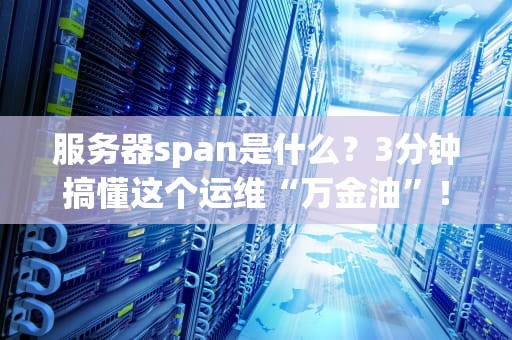 服务器span是什么？3分钟搞懂这个运维“万金油”！(附真实翻车案例)
