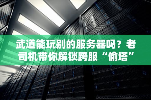 武道能玩别的服务器吗？老司机带你解锁跨服“偷塔”秘籍！