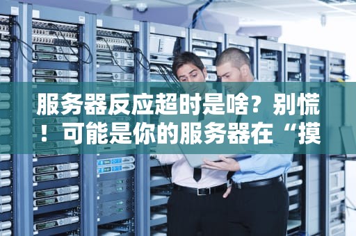 服务器反应超时是啥？别慌！可能是你的服务器在“摸鱼”或“堵车”了！