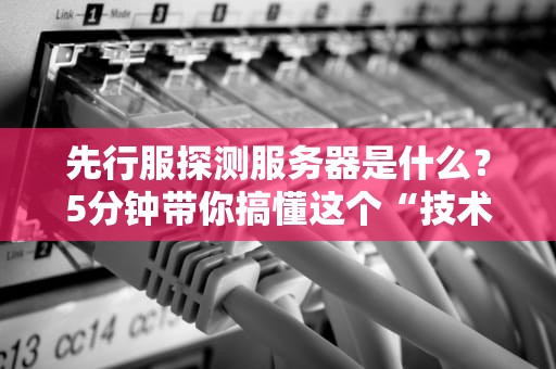 先行服探测服务器是什么？5分钟带你搞懂这个“技术侦察兵”！