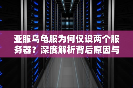 亚服乌龟服为何仅设两个服务器？深度解析背后原因与玩家影响