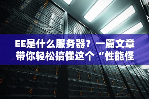 EE是什么服务器？一篇文章带你轻松搞懂这个“性能怪兽”！