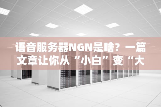 语音服务器NGN是啥？一篇文章让你从“小白”变“大神”！