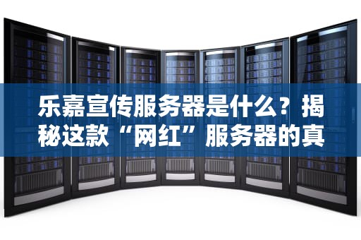 乐嘉宣传服务器是什么？揭秘这款“网红”服务器的真实性能！