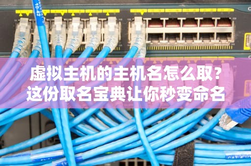 虚拟主机的主机名怎么取？这份取名宝典让你秒变命名达人！