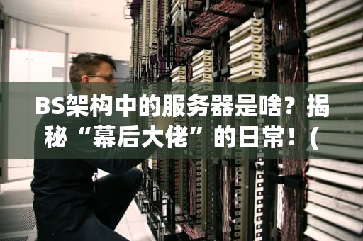 BS架构中的服务器是啥？揭秘“幕后大佬”的日常！(附专业测评指南)