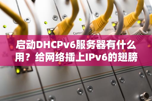 启动DHCPv6服务器有什么用？给网络插上IPv6的翅膀！
