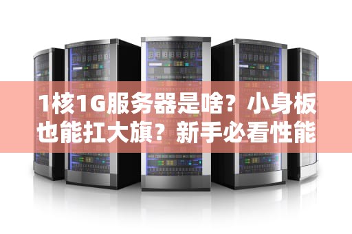 1核1G服务器是啥？小身板也能扛大旗？新手必看性能解析！