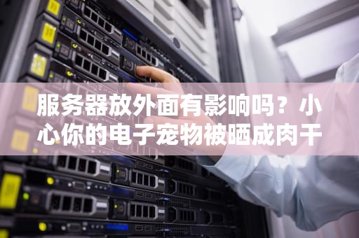 服务器放外面有影响吗？小心你的电子宠物被晒成肉干！