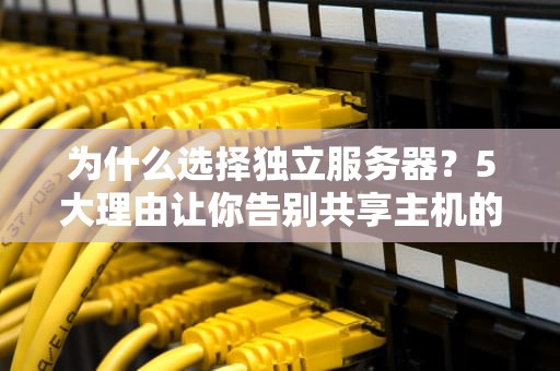 为什么选择独立服务器？5大理由让你告别共享主机的“蜗牛速度”！