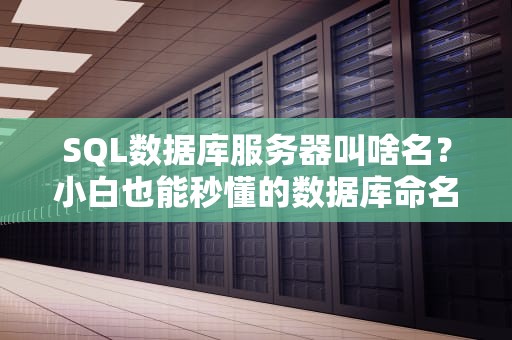 SQL数据库服务器叫啥名？小白也能秒懂的数据库命名指南
