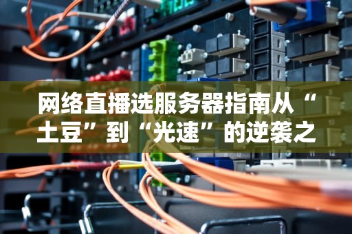 网络直播选服务器指南从“土豆”到“光速”的逆袭之路！