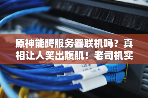 原神能跨服务器联机吗？真相让人笑出腹肌！老司机实测+避坑指南