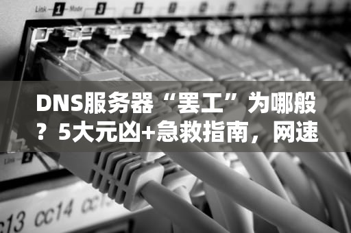 DNS服务器“罢工”为哪般？5大元凶+急救指南，网速瞬间起飞！