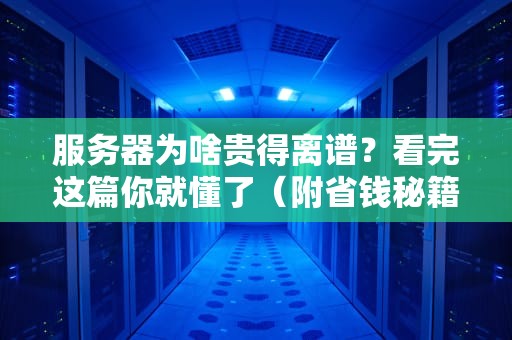 服务器为啥贵得离谱？看完这篇你就懂了（附省钱秘籍）