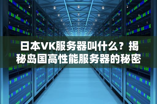 日本VK服务器叫什么？揭秘岛国高性能服务器的秘密武器！