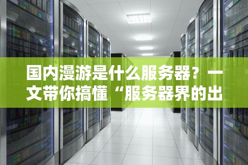 国内漫游是什么服务器？一文带你搞懂“服务器界的出差达人”