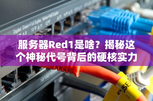 服务器Red1是啥？揭秘这个神秘代号背后的硬核实力！