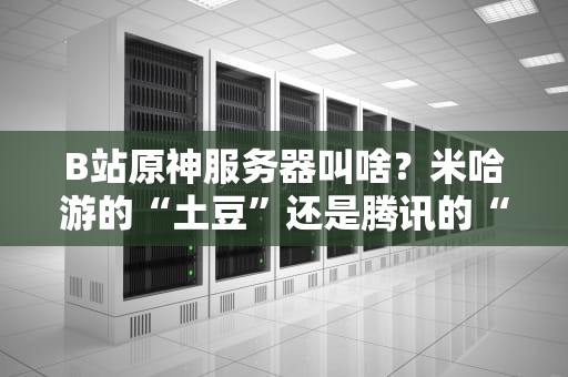 B站原神服务器叫啥？米哈游的“土豆”还是腾讯的“电磁炉”？深度测评+爆笑吐槽！