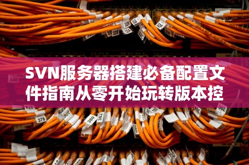 SVN服务器搭建必备配置文件指南从零开始玩转版本控制！