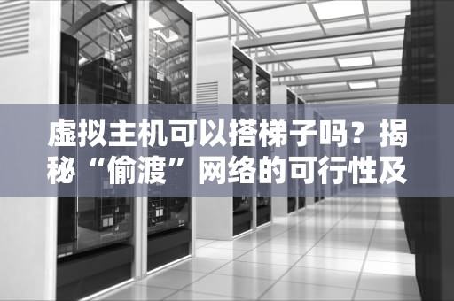 虚拟主机可以搭梯子吗？揭秘“偷渡”网络的可行性及风险！