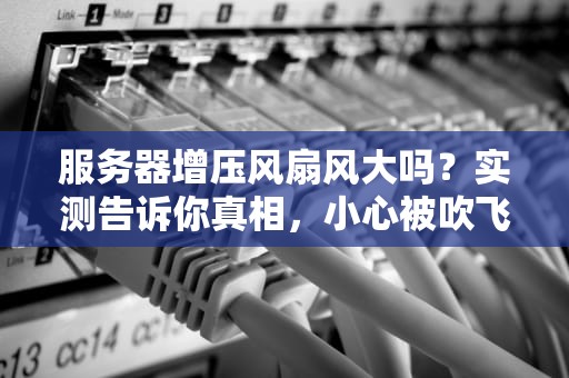 服务器增压风扇风大吗？实测告诉你真相，小心被吹飞！