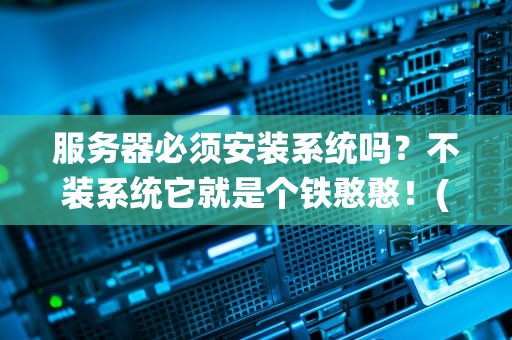 服务器必须安装系统吗？不装系统它就是个铁憨憨！(内含专业测评+爆笑解读)