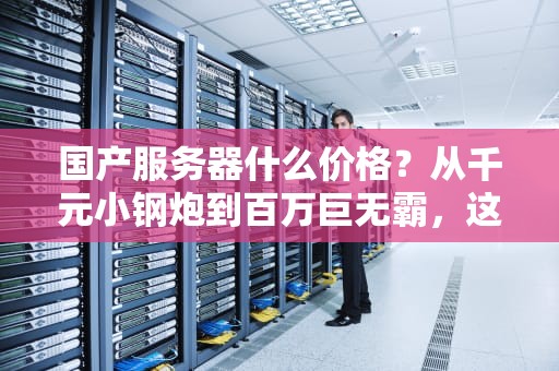 国产服务器什么价格？从千元小钢炮到百万巨无霸，这篇指南让你秒懂行情！