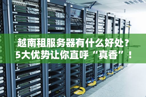 越南租服务器有什么好处？5大优势让你直呼“真香”！