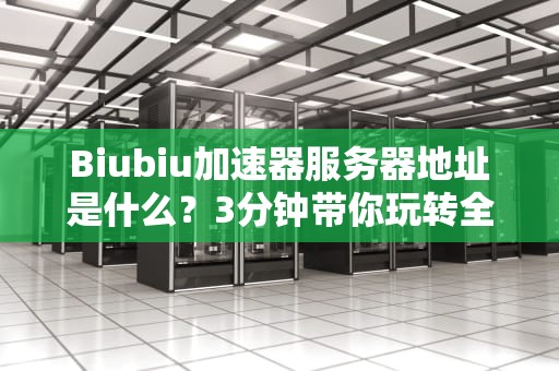 Biubiu加速器服务器地址是什么？3分钟带你玩转全球节点！