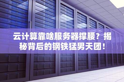 云计算靠啥服务器撑腰？揭秘背后的钢铁猛男天团！