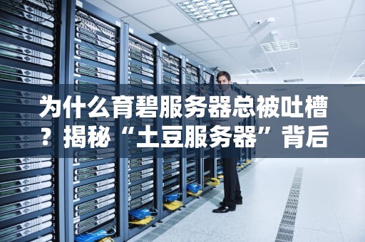 为什么育碧服务器总被吐槽？揭秘“土豆服务器”背后的真相！