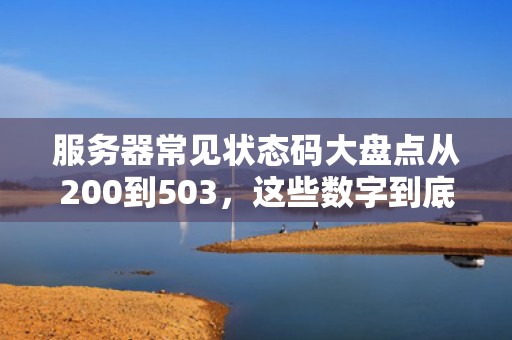 服务器常见状态码大盘点从200到503，这些数字到底在“说”啥？